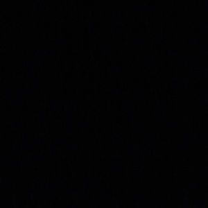 Meet your Posher, Wetzy