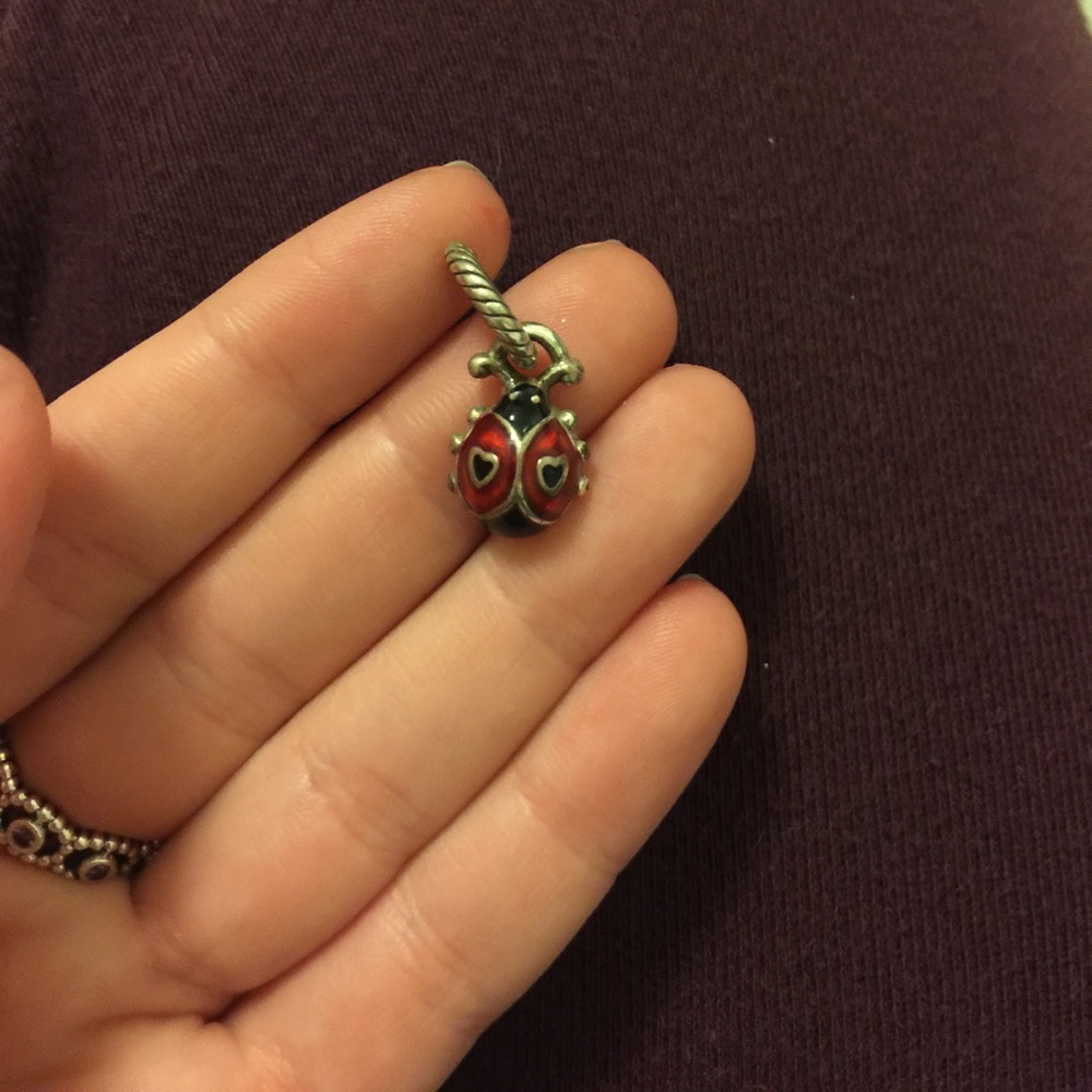 Brighton ladybug charm