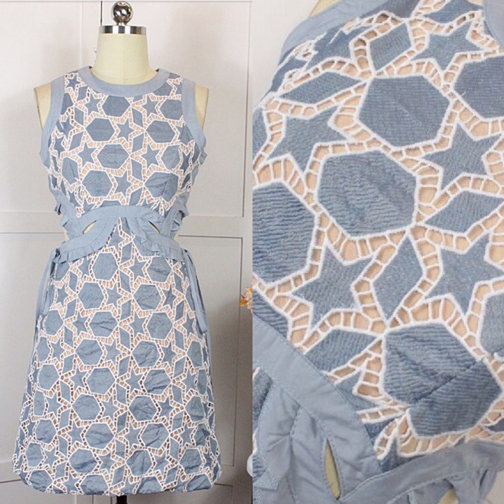 Lace Cut-Out Embroidery Dress