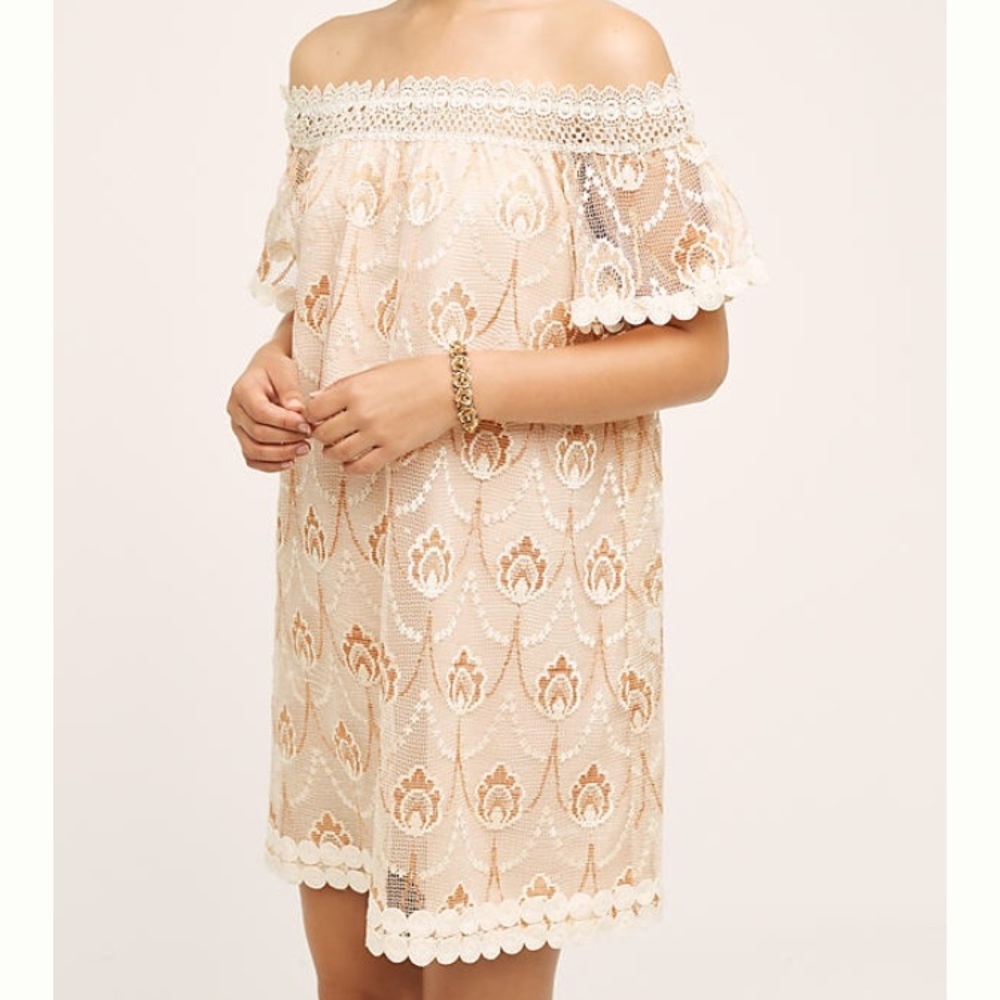 ISO: HD in Paris Avellanas Swing Dress