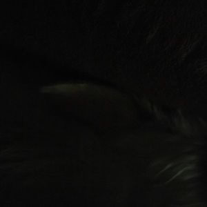 Meet your Posher, Lorie