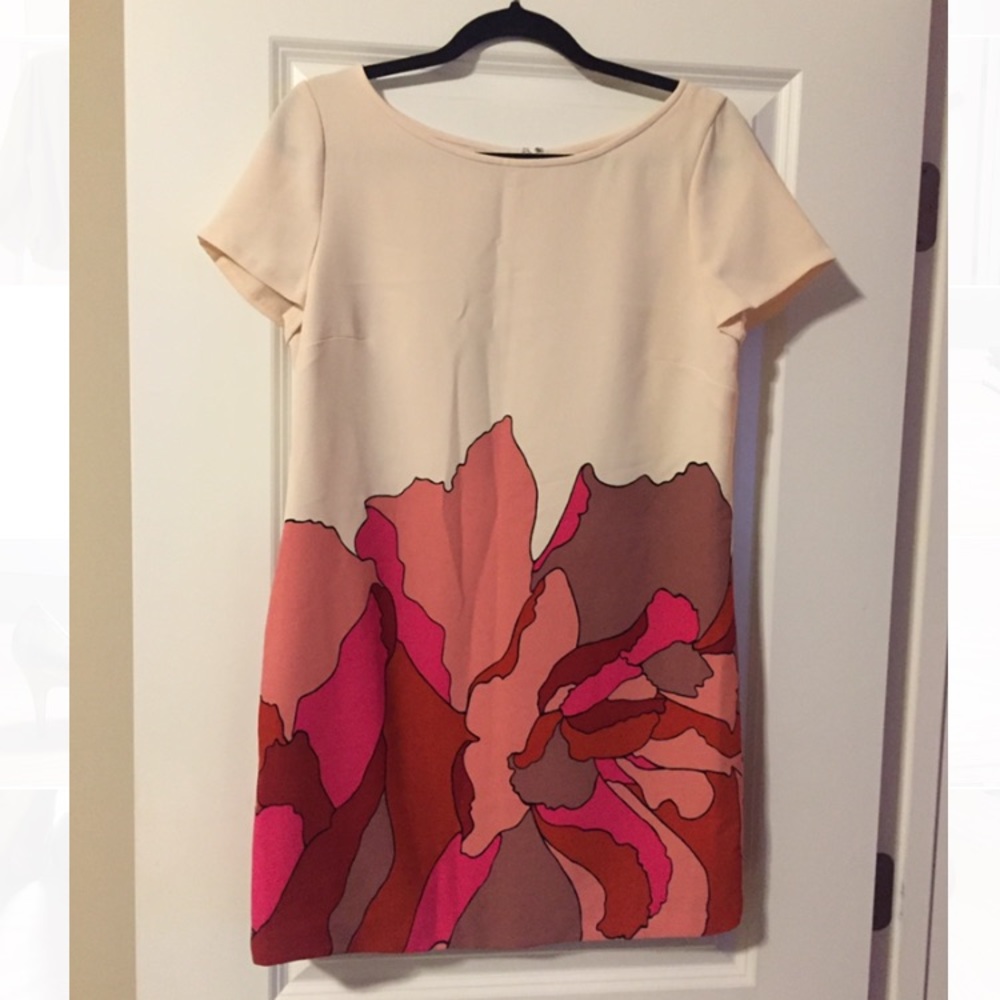 EUC Ann Taylor LOFT Floral Shift Dress