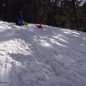 Meet your Posher, Alma