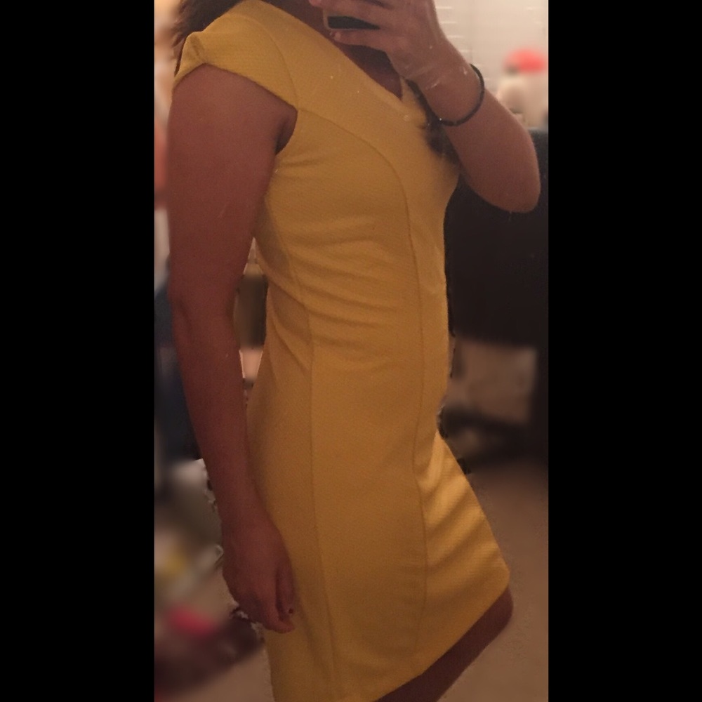 The Limited Textured Sheath Dress (NWOT) - Picture 5 of 6