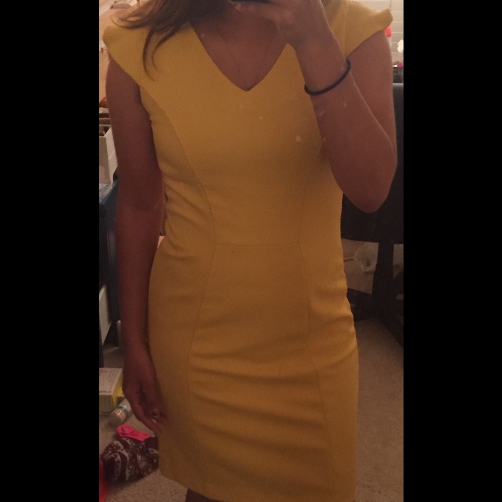 The Limited Textured Sheath Dress (NWOT) - Picture 6 of 6