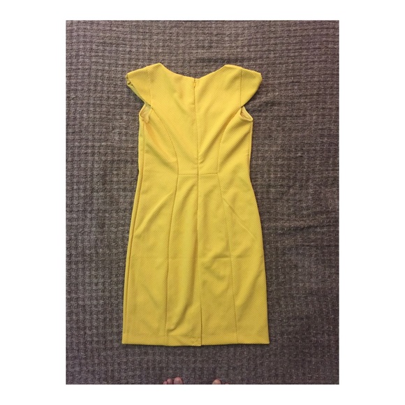 The Limited Textured Sheath Dress (NWOT) - Picture 3 of 6