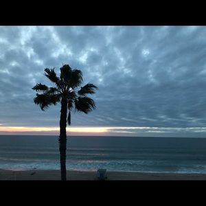 Meet your Posher, Camille