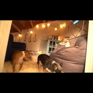 Meet your Posher, Jukia