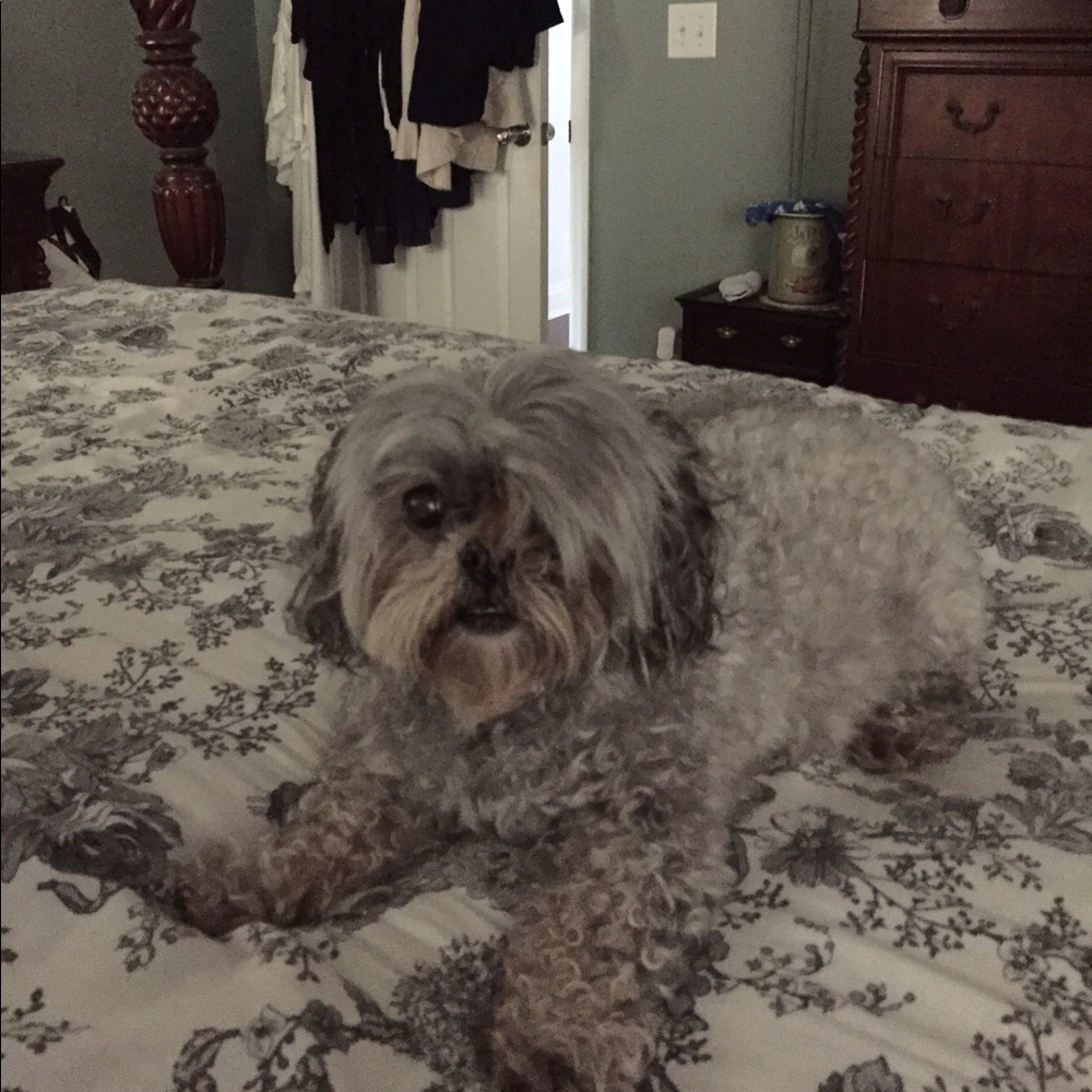 Meet your Posher, Cyndie