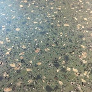 Meet your Posher, Iris