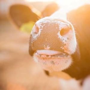 Meet your Posher, Yolanda