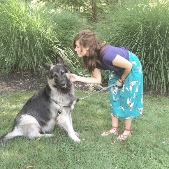 Meet your Posher, Amelia - Picture 4 of 5