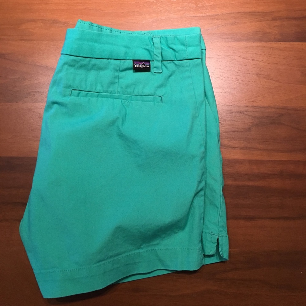 Patagonia Teal 4" inseam shorts