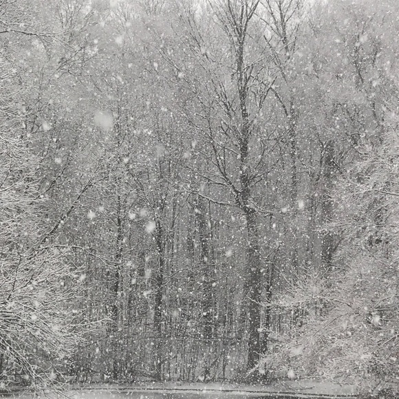 Meet your Posher, Jimmy - Picture 1 of 1