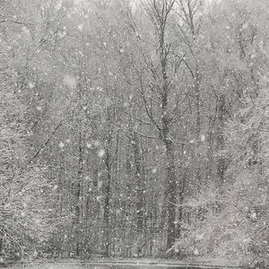 Meet your Posher, Jimmy