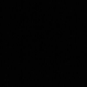 Meet your Posher, Dinorah