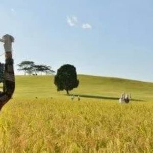 Meet your Posher, Young