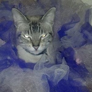 Meet your Posher, Heather