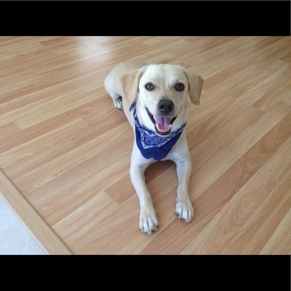 Meet your Posher, Alex - Picture 1 of 1