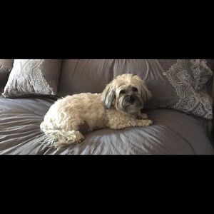 Meet your Posher, Christine