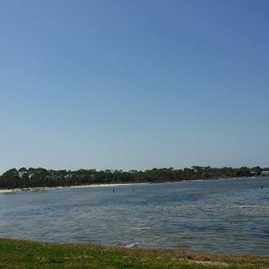 Meet your Posher, Archie