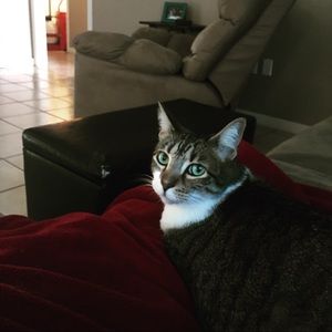 Meet your Posher, Hunter