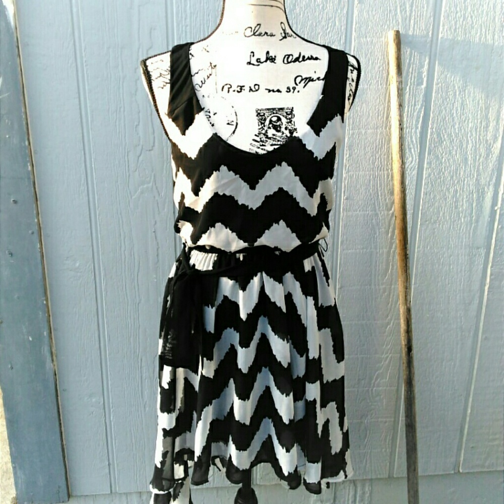 🎉 HP🎉 Silver & Black Zebra Stripe Dress