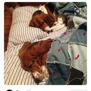 Meet your Posher, Shannon