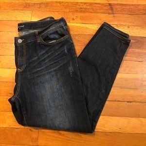 Petite straight leg plus jeans from stitch fix
