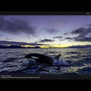 Meet your Posher, Diane