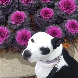 Meet your Posher, Bryan