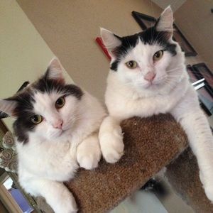 Meet your Posher, Gia