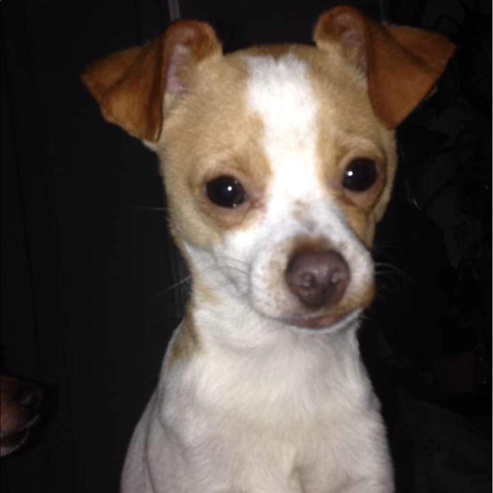 For sassyellie!!!!!!!