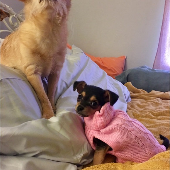 Meet your Posher, Lisa - Picture 5 of 8