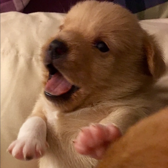 Meet your Posher, Lisa - Picture 6 of 8