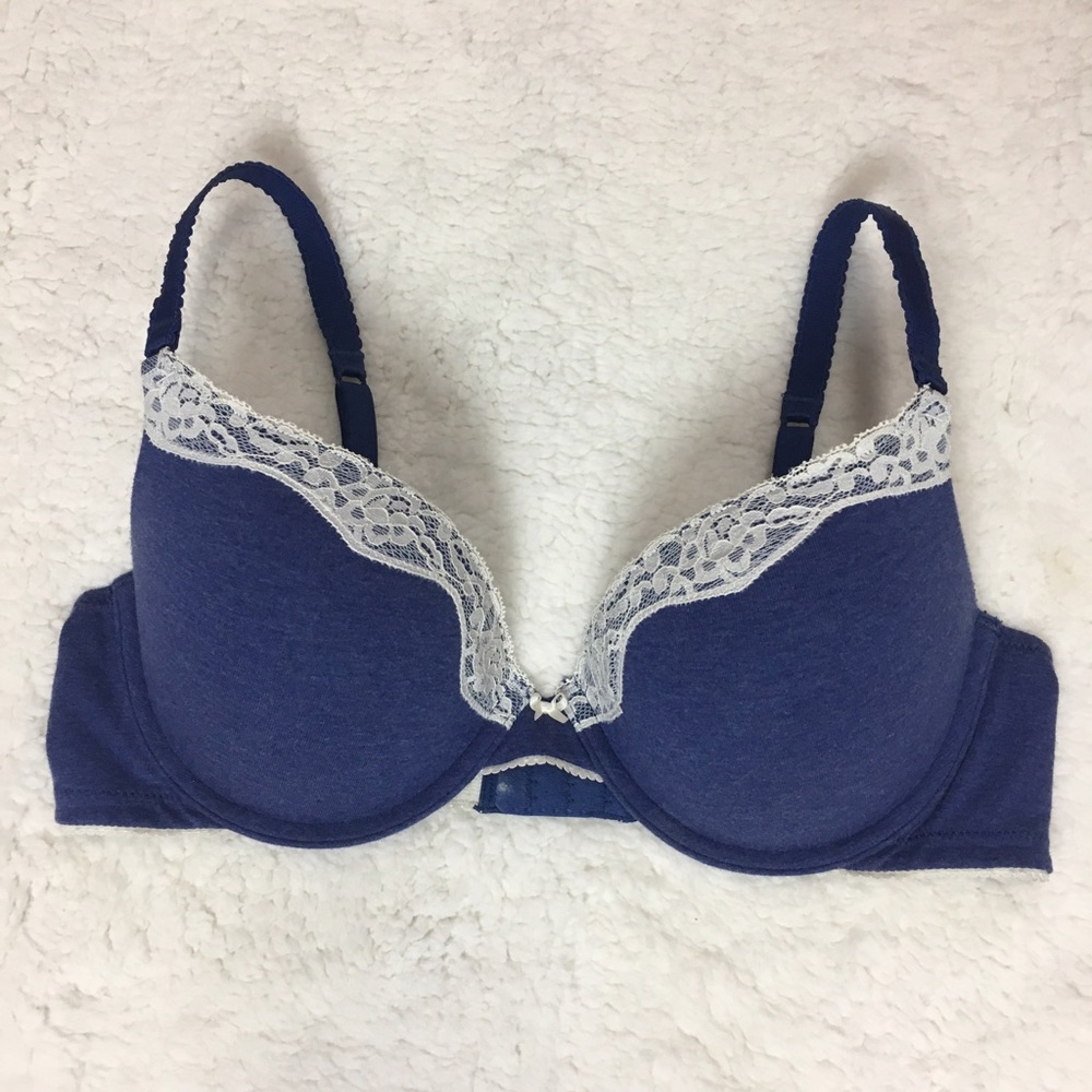 Aerie Bridget Blue Push-Up Bra