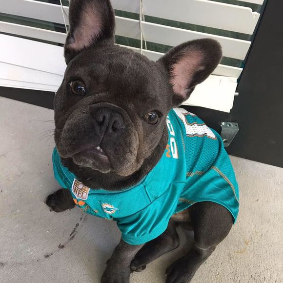 Meet your Posher, Keith - Picture 1 of 1