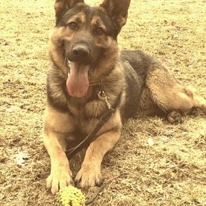 Meet your Posher, Delange