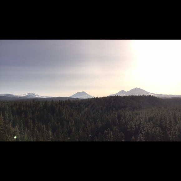 Meet your Posher, Shawna - Picture 1 of 1