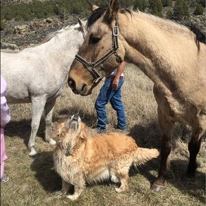 Meet your Posher, Kathy