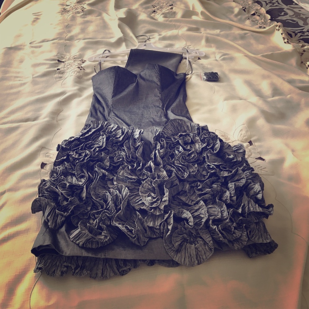 NEW Beautiful short, gray gown from Los Angeles