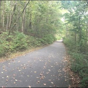 Meet your Posher, Caitlyn