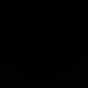 Meet your Posher, Artice