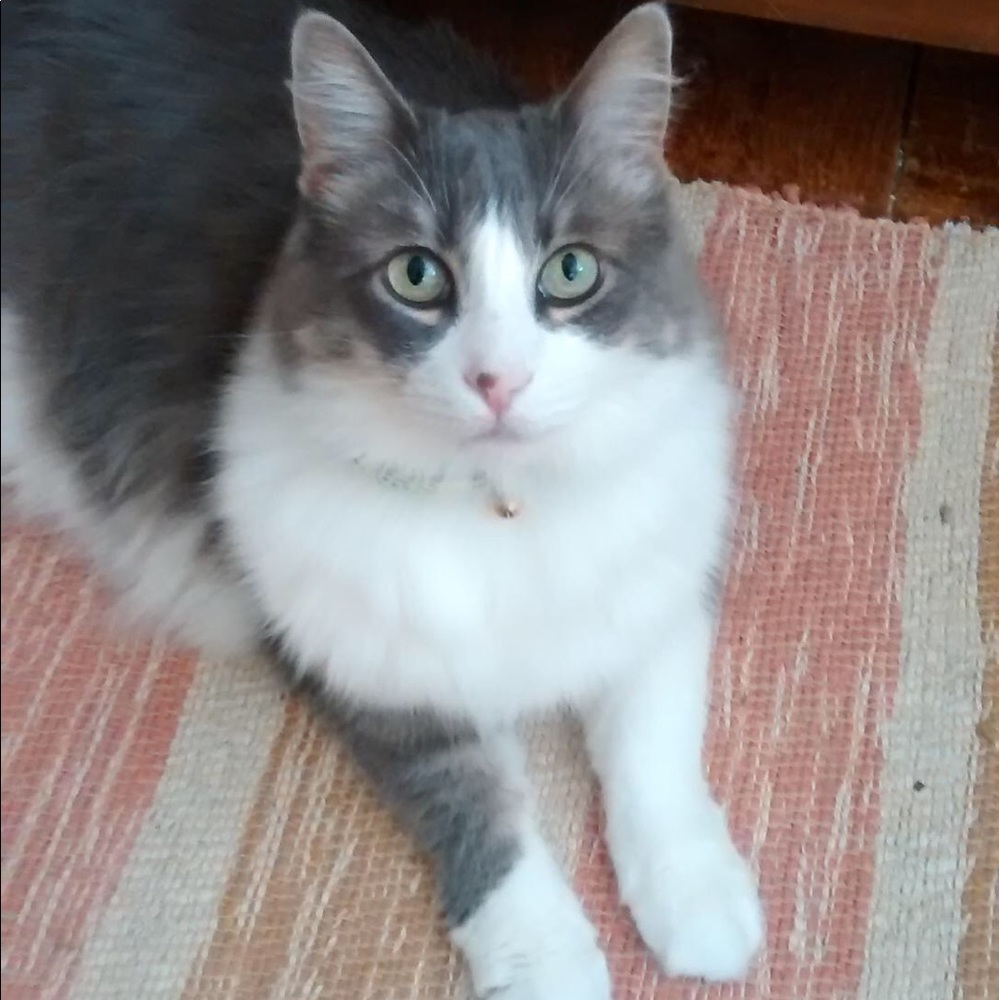 Meet your Posher, Kris