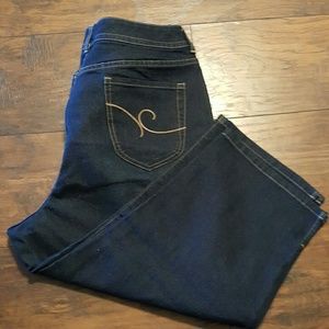 Chicos Additions brand