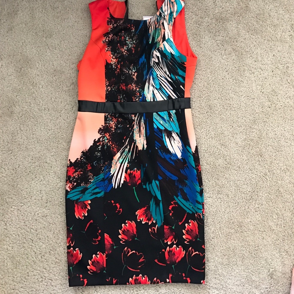 New with tags Bisou Bisou dress