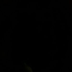 Meet your Posher, Hilmar