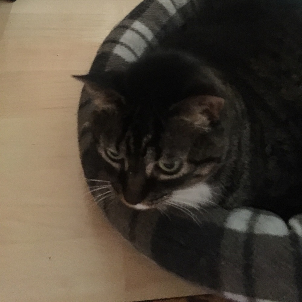 Meet your Posher, Marsha