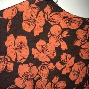 LLR Lindsay Brown Background NWT