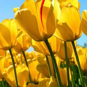 Meet your Posher, Karin